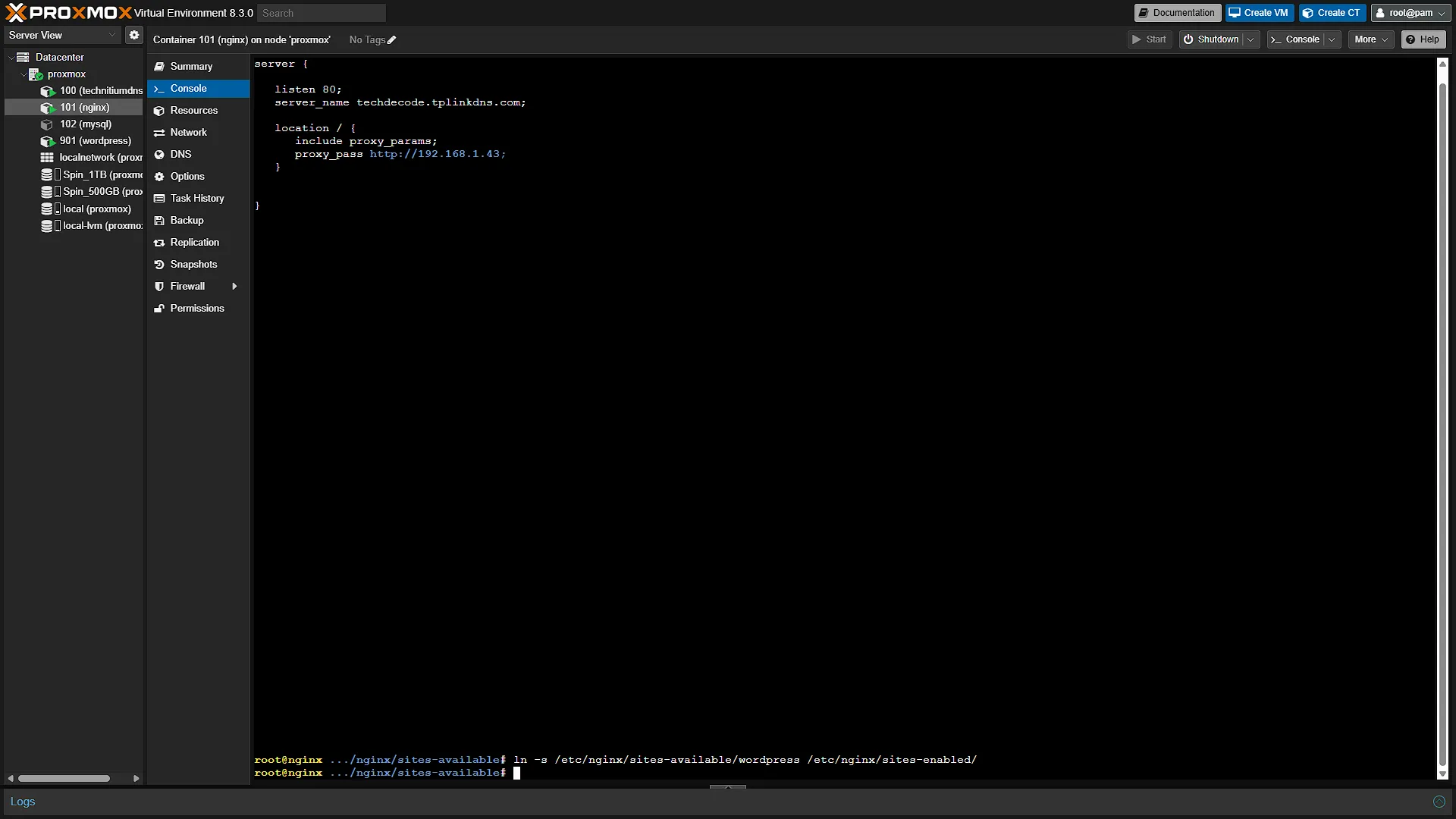 Nginx Outside Traffic Setup - 3 - Symlink