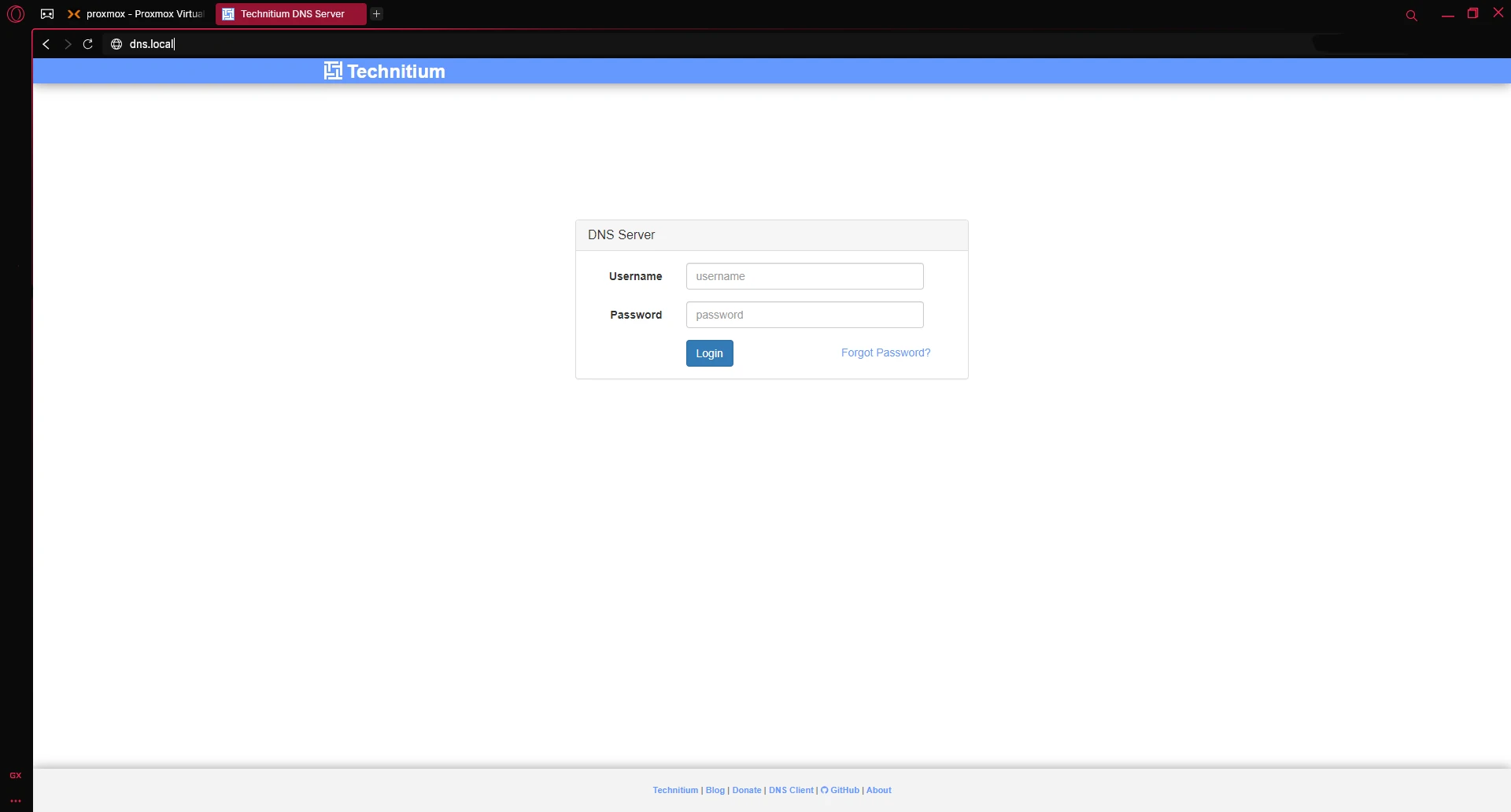 dns local