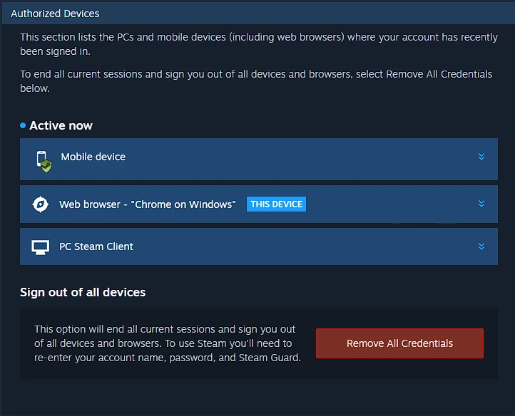 Steam Account Activity