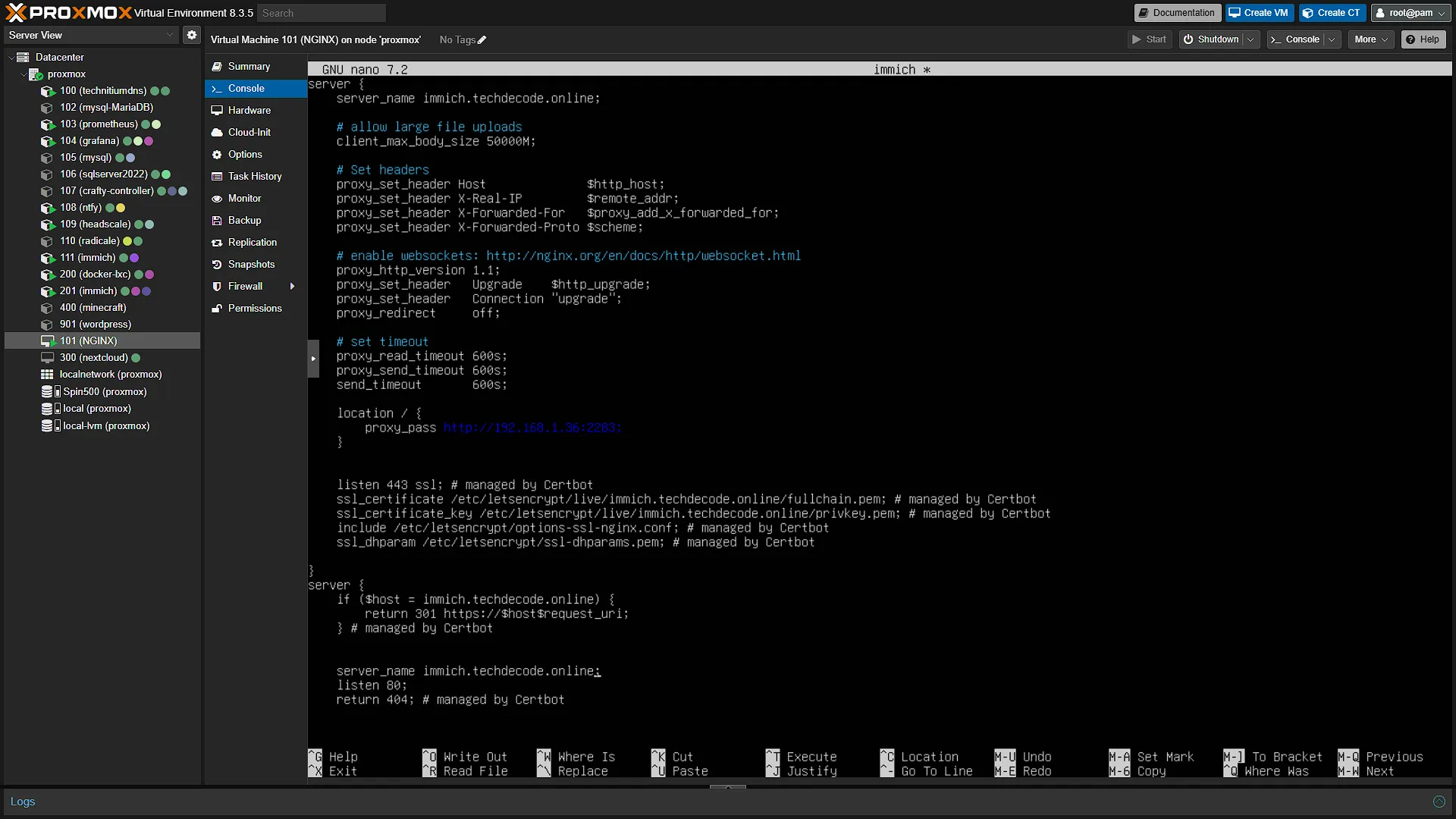 Immich NGINX Config