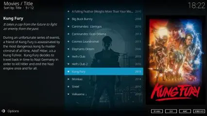 Kodi Movies